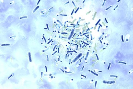 Legionellen Nachweis im Wasser unter dem Mikroskop
